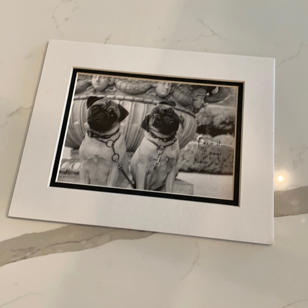 Matted Pug print! 🐶